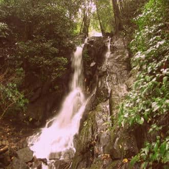 Stay In A Villa In Chikmagalur, Chikmaglur 4